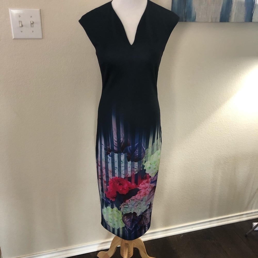 Ted Baker London Rimena Haze Dress